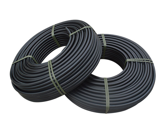 1653468794524536.jpg 11.jpg